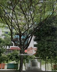 Blk 23 MARSILING DRIVE (Woodlands), HDB 3 Rooms #534576371